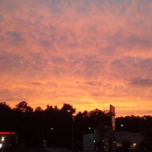 Meet your Posher, Lynette